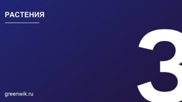 Почему орхидеи не цветут: разбор причин и решения