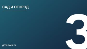 Зеленые удобрения: какие растения лучше всего использовать в огороде