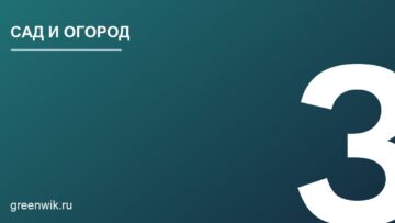 Выращивание редких сортов томатов в условиях небольшого участка