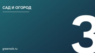 Эффективные методы борьбы с проволочником без химии